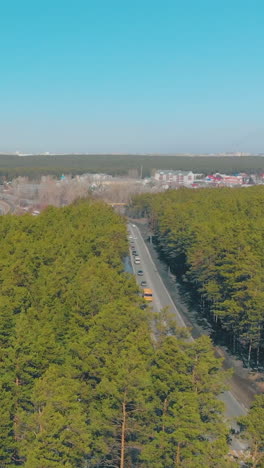 different automobiles drive along grey asphalt road crossing dense evergreen forest against cottage village aerial view