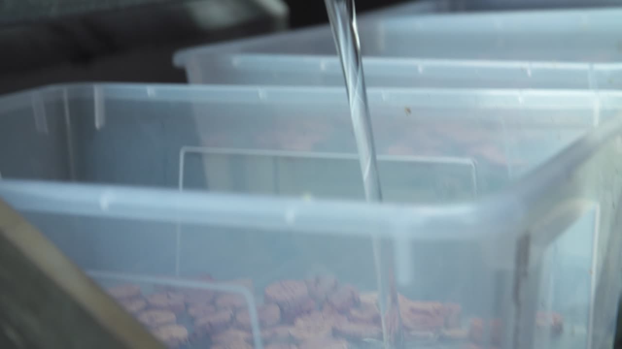 양봉가가 코르크가 있는 플라스틱 상자에 꿀벌을 위한 시럽 공급