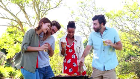 Happy-friends-preparing-a-barbecue-grill-in-park