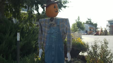 Espantapájaros-De-Calabaza-En-El-Huerto-De-Calabazas-De-Halloween