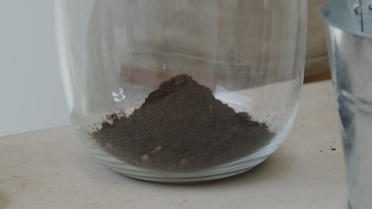 젊은 여성 식물학자는 유리 테라리움에 작은 살아있는 숲 생태계를 만듭니다 - 배수구에 흙을 놓는 - 꽉 닫혀 있습니다