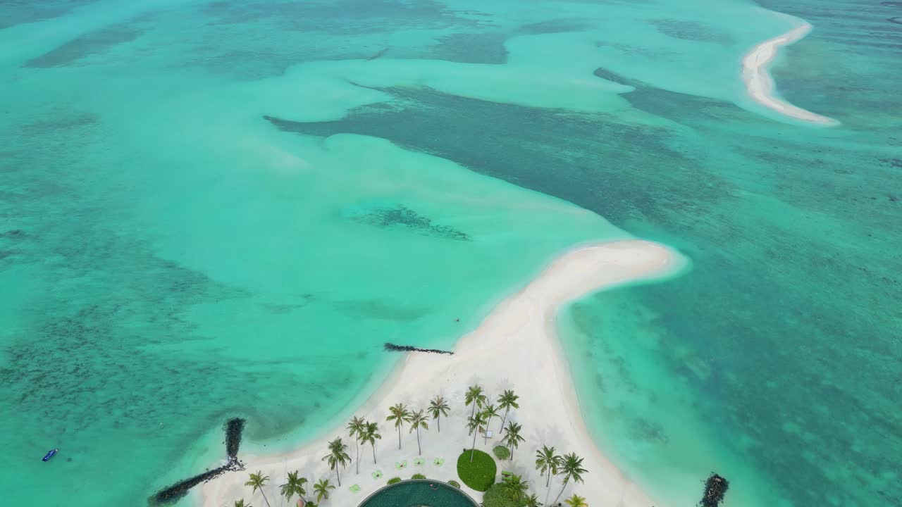 White sand paradise beach with palms and turquoise ocean in Maldives, aerial