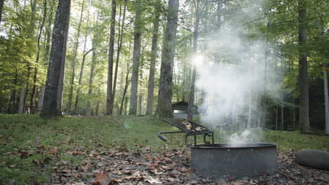 wide static footage of a fire ring in a national park campground in the morning that is smoking