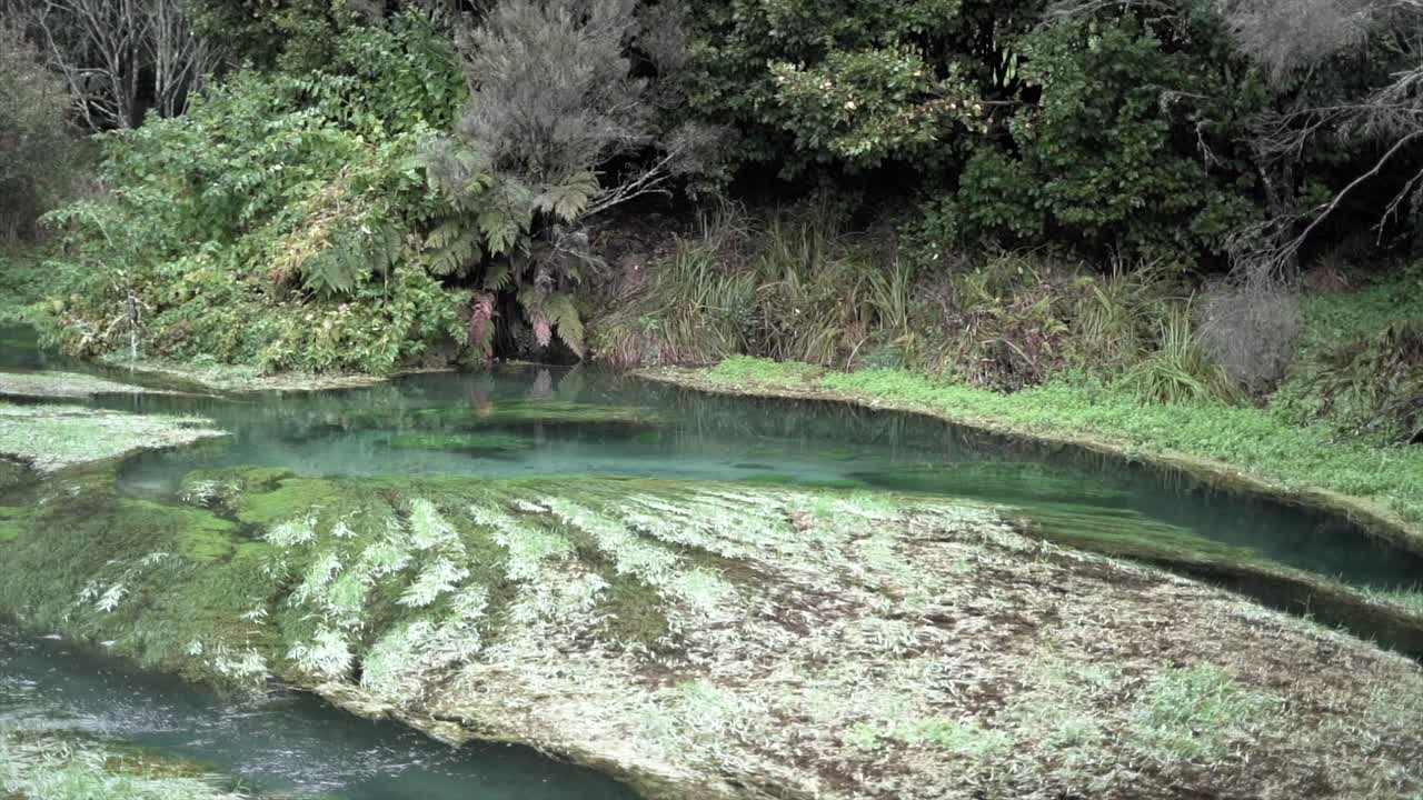 Scenic River Landscape