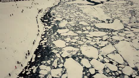 los movimientos cinematográficos de drones muestran una playa de arena negra en islandia filmada por drones en condiciones de nieve