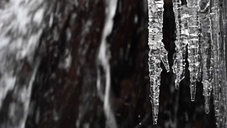 water clattering on a waterfall with black rocks while snowflakes are whirling down in the background and long icicle hanging down