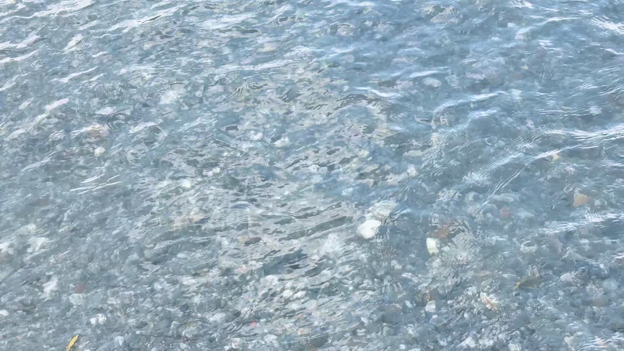 A rock is thrown, splashing into clear lake water under natural daylight, steady overhead view