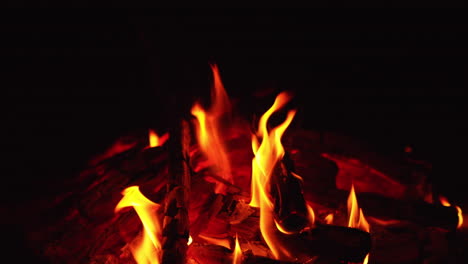 mesmerizing view of wood burning out in bonfire. red smoldering embers sparkling in the campfire. close up.