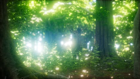 great red deer in a green forest