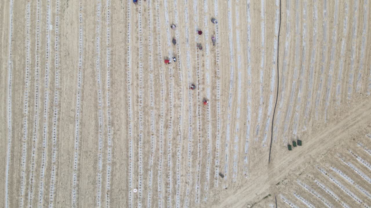 농경지 에서 일 하는 농부 들