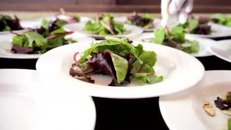 Salad-in-a-first-camera-plane