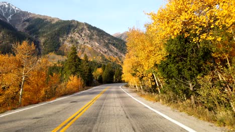 fall foliage pov driving in the rocky mountains of colorado