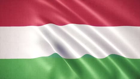 bandera realista de hungría, animación de fondo de la bandera