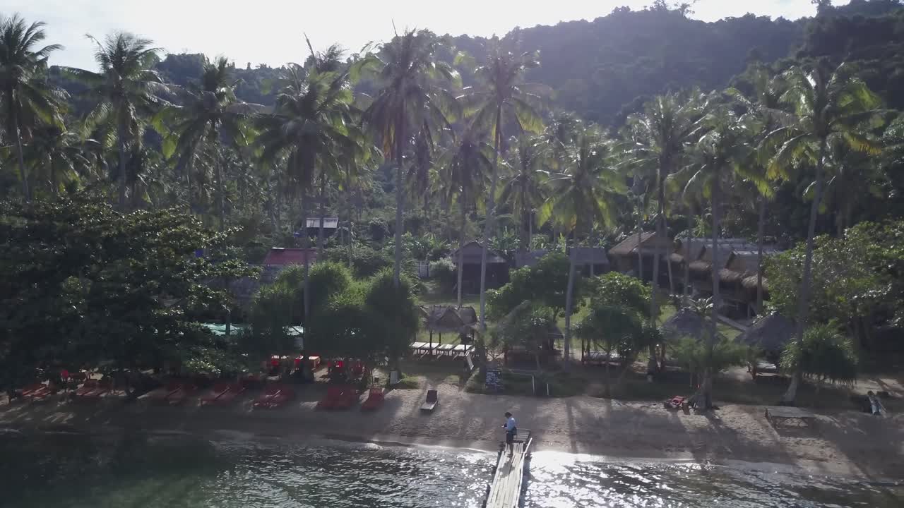 Escena de playa tropical con palmeras