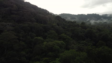 Wild-forest-flyover,-,stunning-mountain-scenery,-establishing-shot