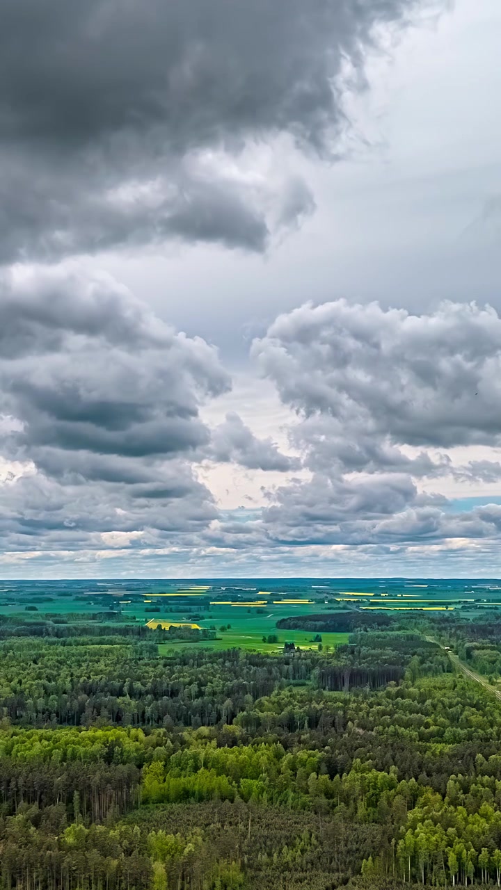 Timelapse verticale aereo di drammatiche nuvole grigie che si muovono sopra una vasta foresta verde e campi di colza giallo brillante che si estendono fino all'orizzonte piatto in una giornata primaverile nuvolosa.
