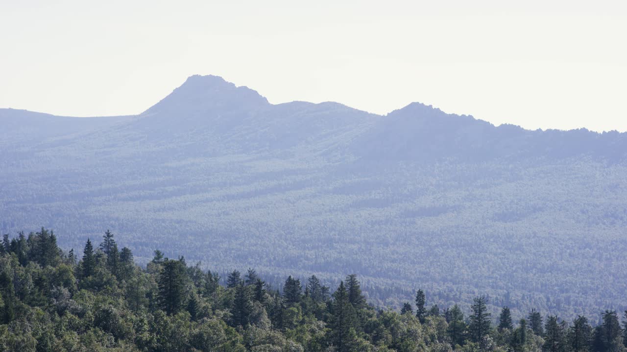 산악 풍경과 숲