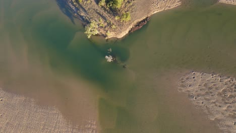 Immergrüne-Bäume-Auf-Sand-Am-Moonee-Creek-In-Der-Mitte-Der-Nordküste,-New-South-Wales