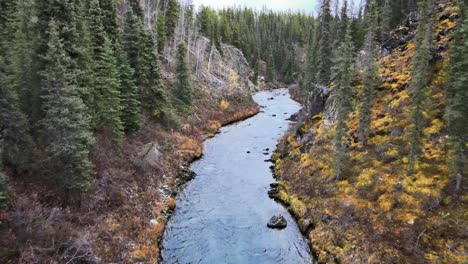 Fly-over-O'Donnel-River-with-yellow-and-green-foliage-forest-on-the-shores,-British-Columbia,-Canada