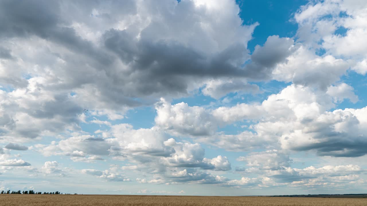 hermosas nubes en el campo, lapso de tiempo, verano hermoso paisaje, bucle de video