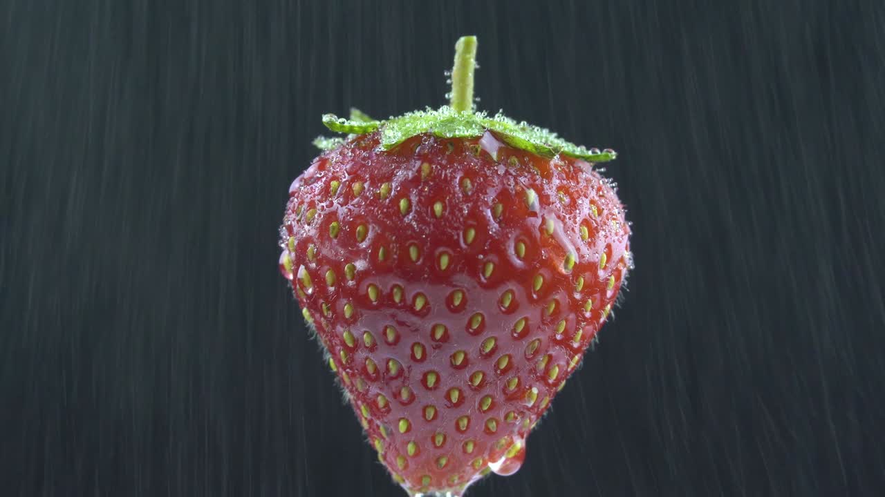맛있는 딸기는 검은 바탕에 물방울 아래로 회전합니다.