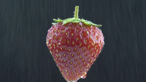 delicious strawberry rotates under water drops. on a black background