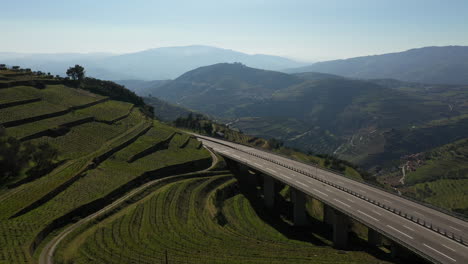 aerial shot over evergreen terraced vineyards highway reveal, douro