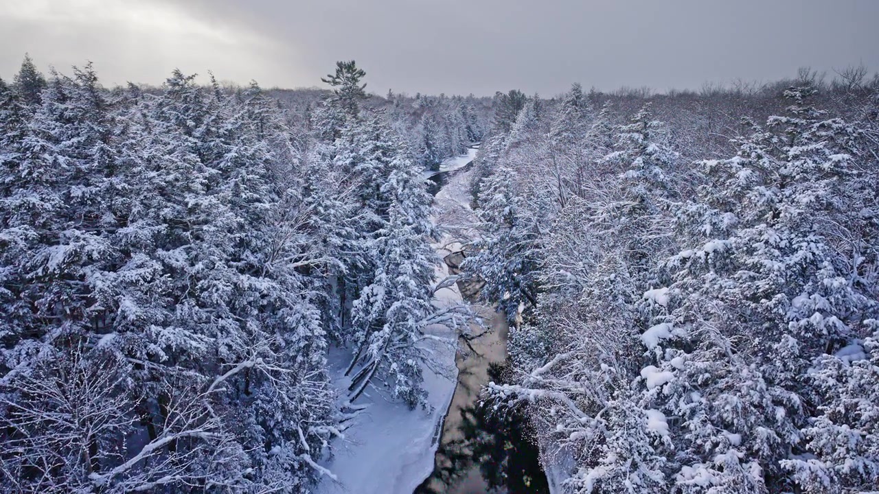 Stemningsfulde optagelser af snedækket vinterlandskab i det nordlige Michigan med en flod, der snor sig gennem skoven