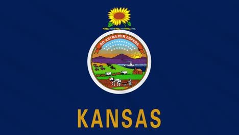 kansas flag flutters in the wind, loop for background