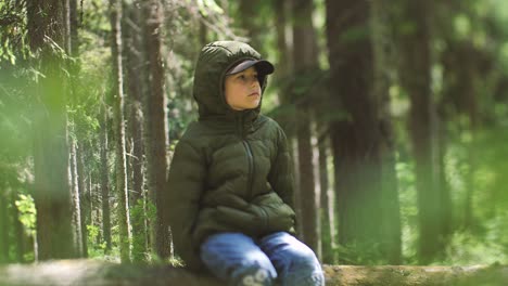 Niño-Solo-En-El-Bosque