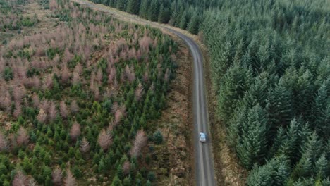 La-Vista-De-Drones-Muestra-Carreras-De-Autos-En-Un-Camino-Forestal-Vacío-De-Una-Sola-Pista-A-Alta-Velocidad