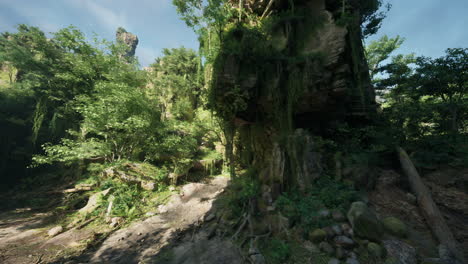 lush jungle path through ancient stone cliffs