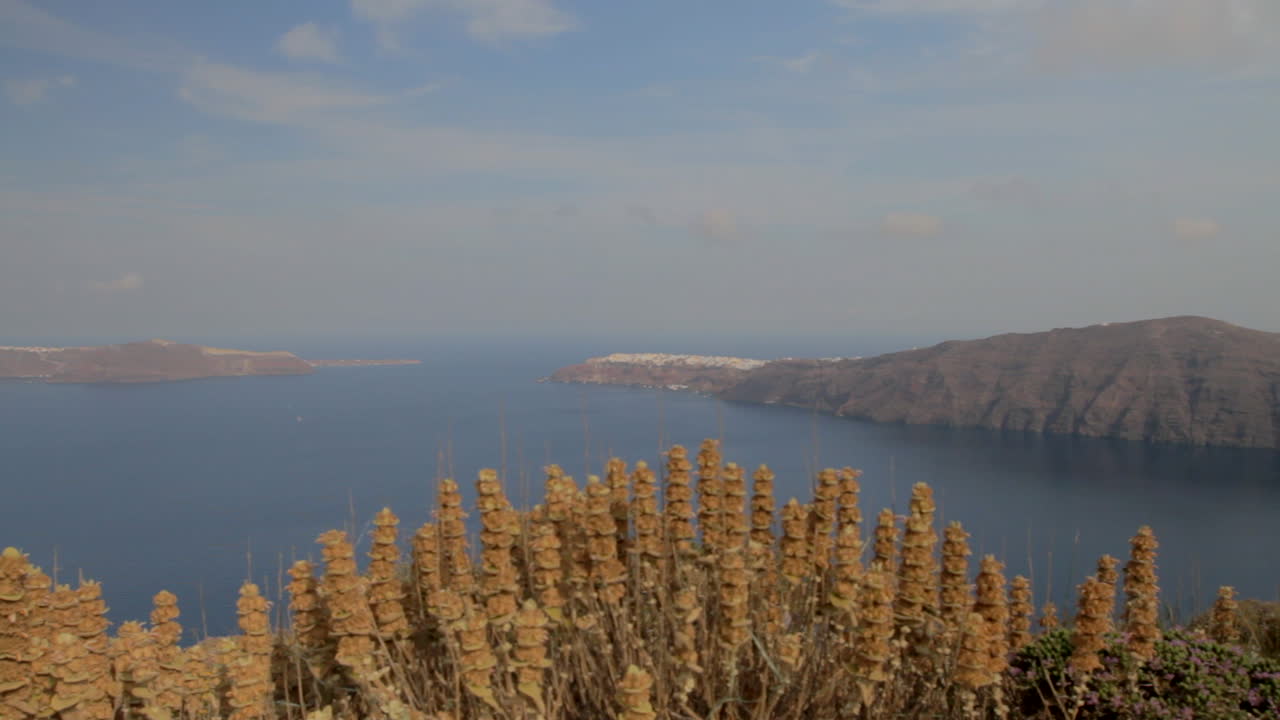 전경에 야생 오레가노 식물이 있는 멀리서 보이는 장엄한 산토리니 바다 풍경 사이에 있는 산토리니의 이아 마을