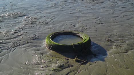 car tyre dumped rubbish waste on the beach with moss around it slow motion