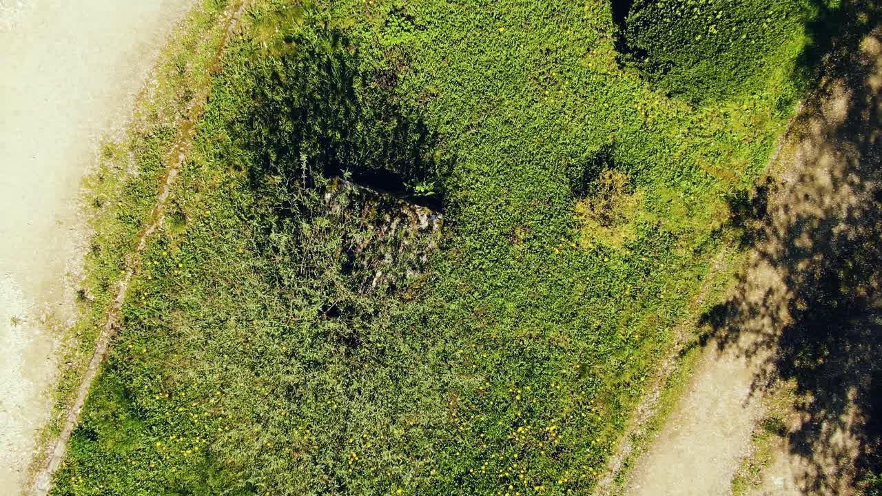 vista superior de la planta