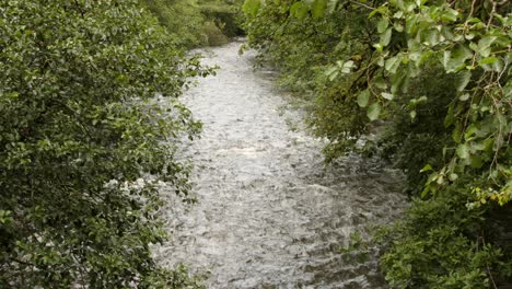 wide shot of afan river with trees both sides in the afan valley