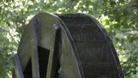 close up on turning watermill water wooden in green environment static