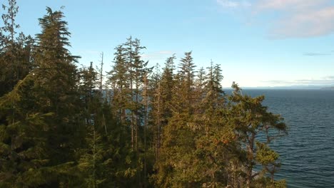 Drohnenaufnahme-Mit-Wald,-Strand-Und-Meer