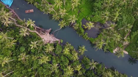 Palm-tree-swing-of-the-leaning-bent-coconut-at-Maasin-river-with-diving-board,-canoes-and-raft-on-Siargao-island,-Philippines