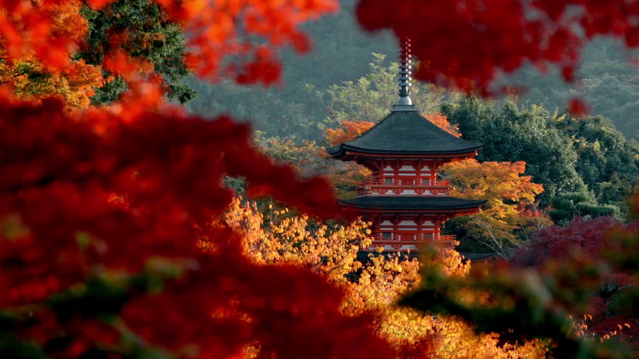 The stunning Kiyomizu-dera Pagoda Temple at sunset, surrounded by vibrant red and yellow autumn foliage.