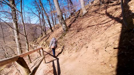 tiro largo de mujer caminando por el sendero montañoso