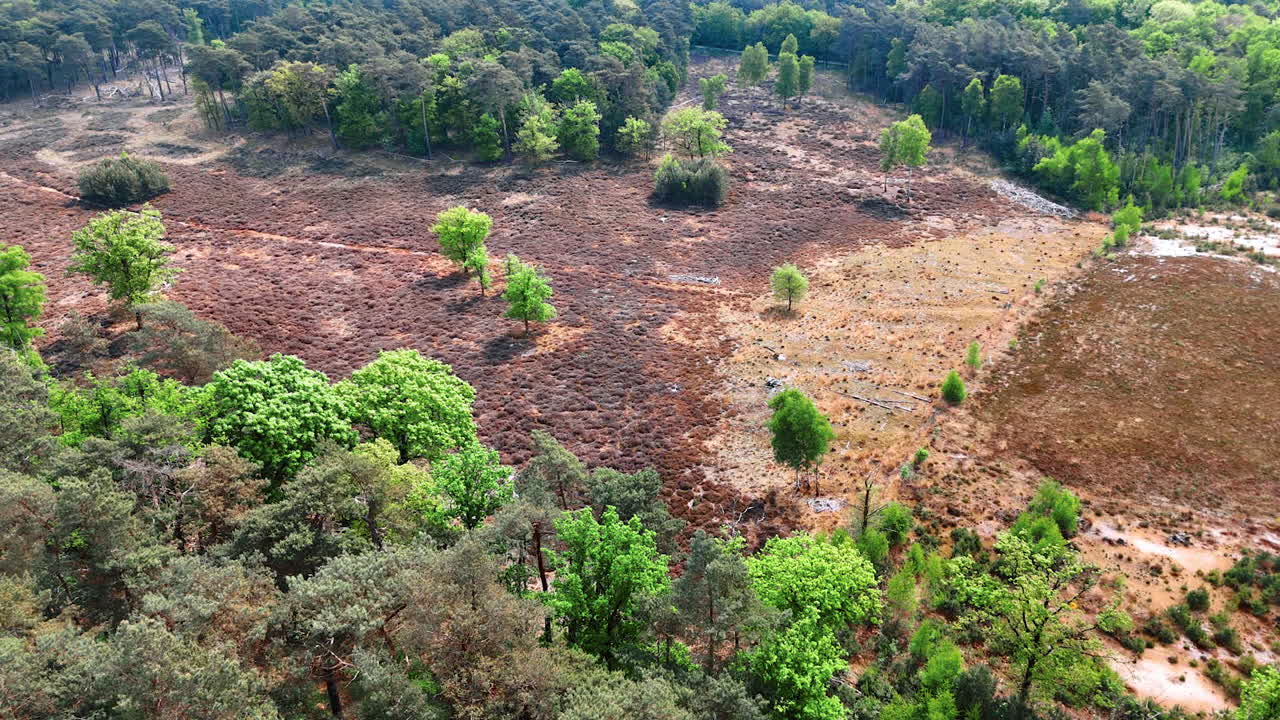 Netherlands' varied flora. A vibrant landscape reveals patches of greenery and dry terrain in the Netherlands during springtime