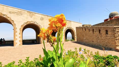 visitors walk past flowers and historic arches