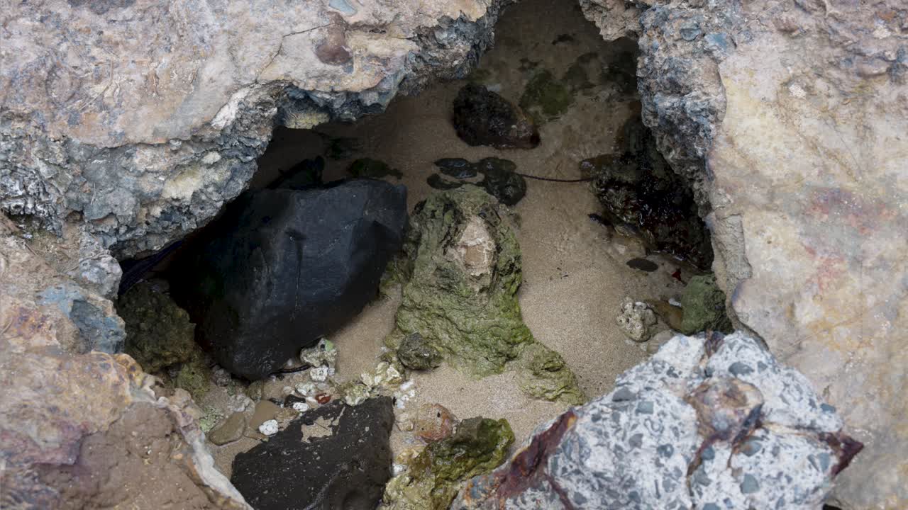 砂浜の小さな岩だらけの潮だまりに穏やかな海水がゆっくりと出入りし、緑の藻で覆われた岩を現しながら、海岸線に心地よい自然のリズムを作り出している様子。