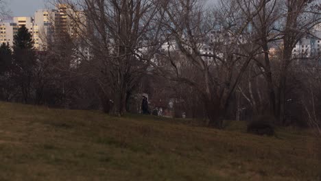 people walking in a park