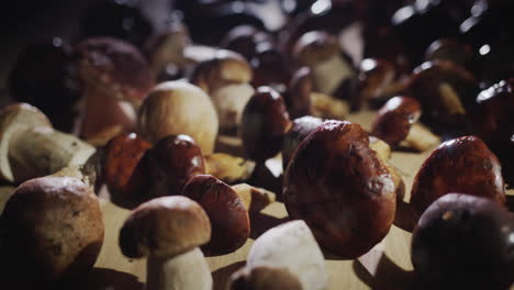 appetizing wild mushrooms lie on the table