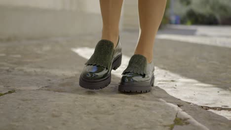 Toma-De-Seguimiento-De-Una-Dama-Elegante-Caminando-En-Un-Paseo-Para-Gatos-Con-Zapatos-Clásicos-Brillantes