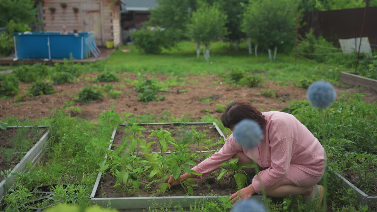 Woman Kneeling In Raised Vegetable Beds, Carefully Weeding And Tending Seedlings, Patient Gardener Hands In Soil, Domestic Cultivation In Backyard With Greenhouse Backdrop, Calm Earthy Atmosphere