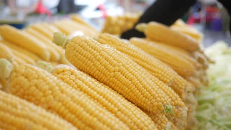 closeup of fresh corn on the cob at a farmers market