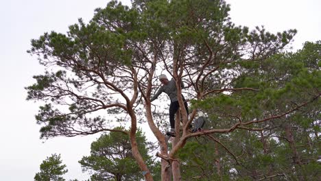 young woman tries to climb down from pine tree and realizes she is stuck and has problem to get down